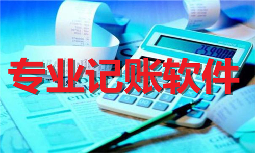 專業(yè)記賬