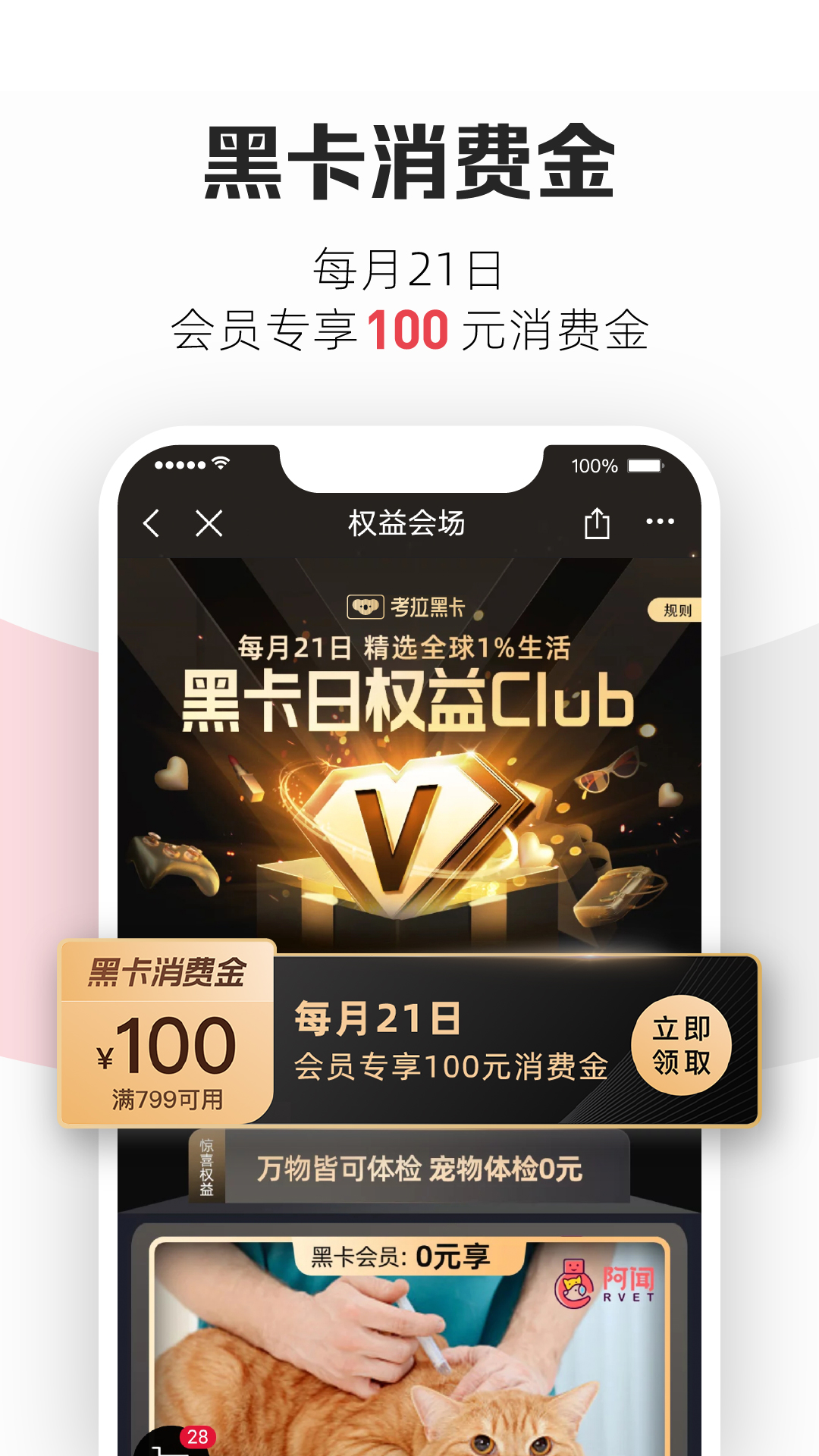 考拉海購截圖2