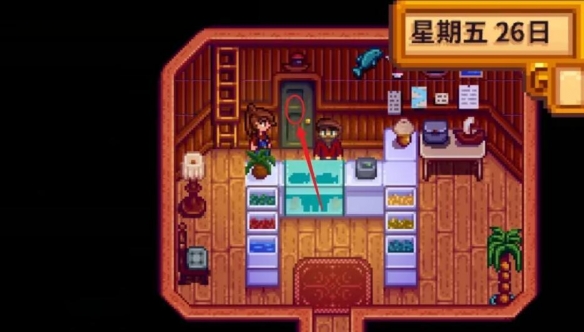 星露谷物語姜島怎么去