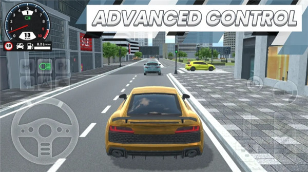 汽車駕駛EVO截圖3