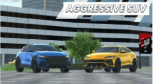 汽車駕駛EVO