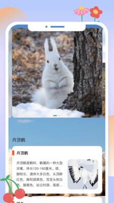 動(dòng)物刷刷截圖1