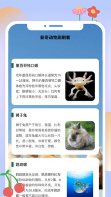 動(dòng)物刷刷截圖2