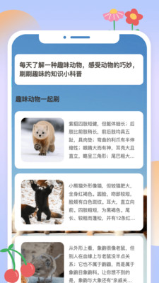 動(dòng)物刷刷截圖3