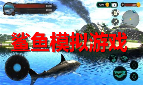 鯊魚(yú)模擬