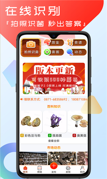 菌窩子截圖4