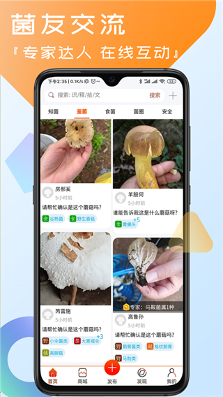 菌窩子