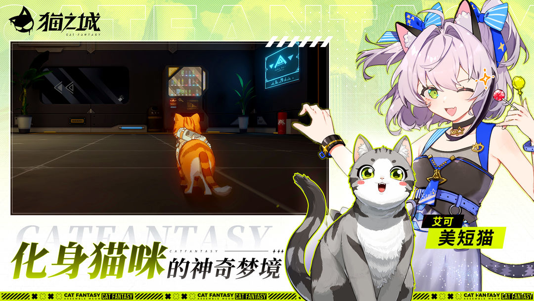 貓之城手游截圖3