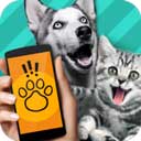 pettranslator
