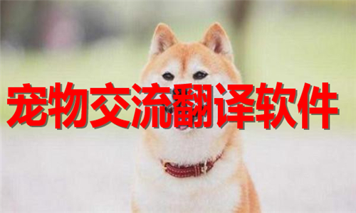 寵物交流翻譯