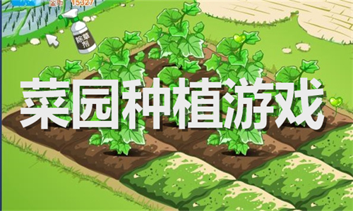 菜園種植