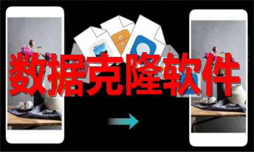 數(shù)據(jù)克隆