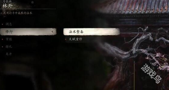 黑神話悟空加點(diǎn)怎么重置