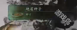 黑神話悟空地蓮種子刷取地點(diǎn)