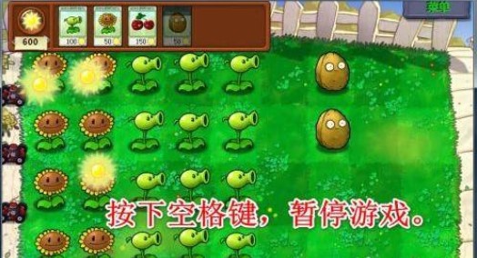 植物大戰(zhàn)僵尸e版支線