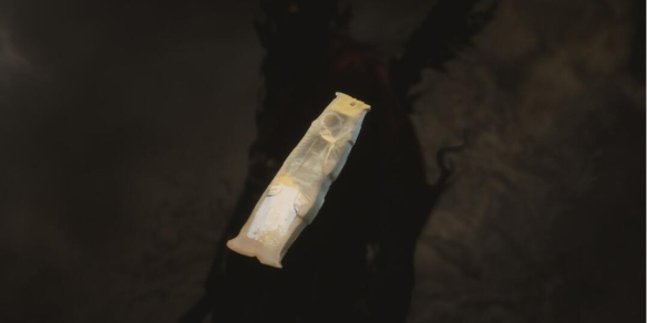黑神話悟空金色鯉怎么獲得