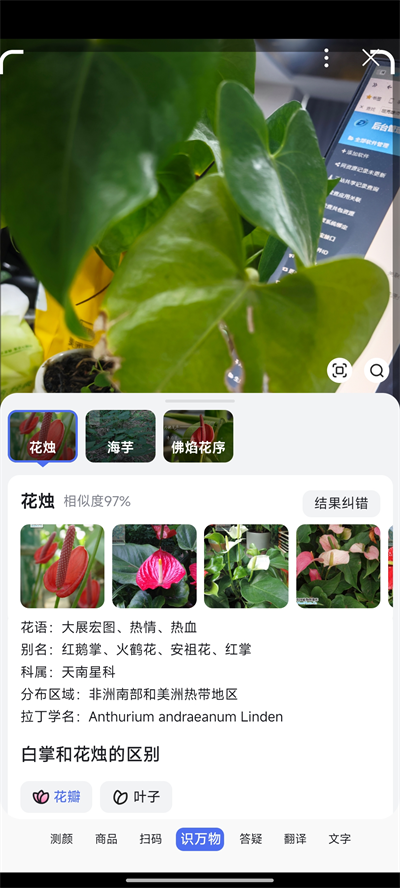 百度搜索