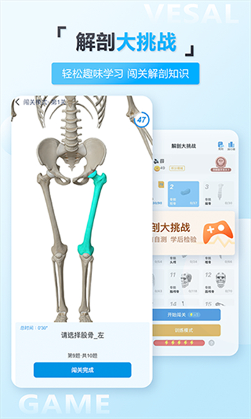 維薩里3d解剖截圖5