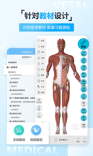 維薩里3d解剖
