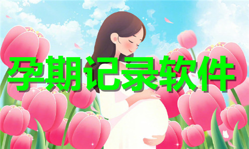 孕期記錄