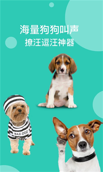 狗語翻譯截圖5