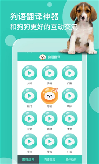 狗語翻譯