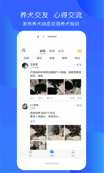 犬衛(wèi)士截圖3