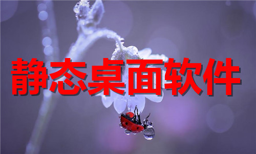 靜態(tài)桌面