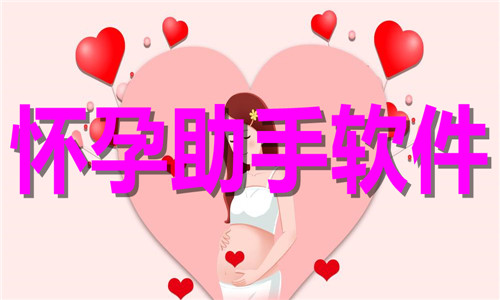 懷孕助手