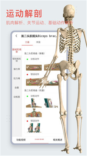 3dbody解剖截圖4