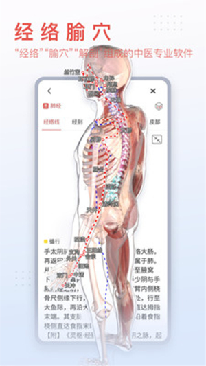 3dbody解剖截圖5