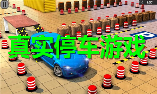 真實停車