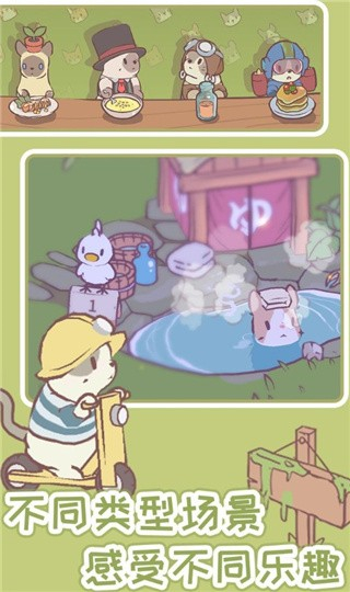 貓咪溫泉