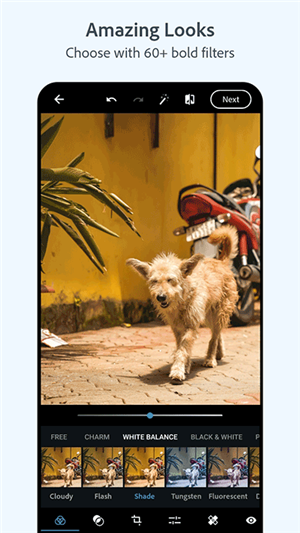 adobe photoshop express中文版截圖5