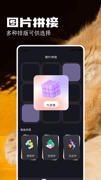 布偶相机4