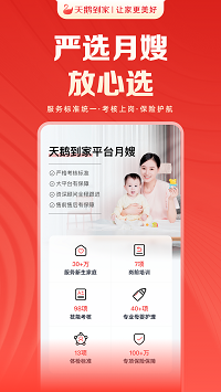 天鵝到家截圖4