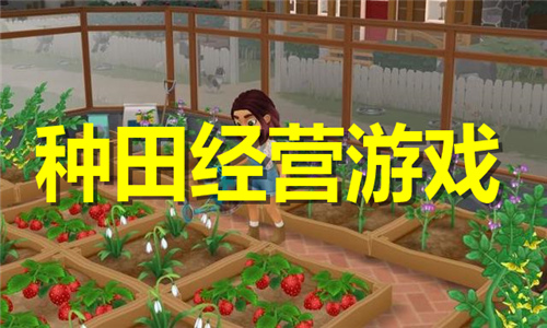 種田經(jīng)營