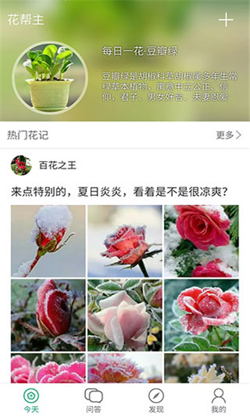 花幫主截圖5