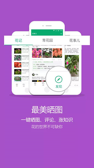 花幫主