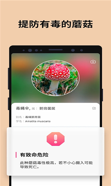 蘑菇識(shí)別截圖3