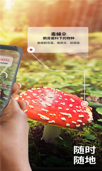 蘑菇識(shí)別截圖2