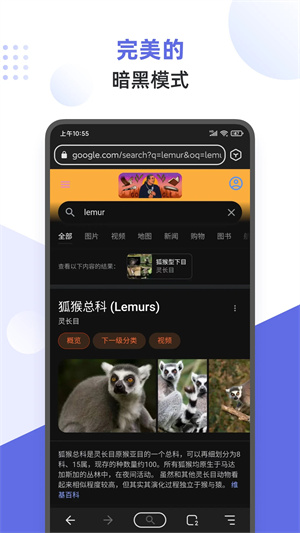 狐猴瀏覽器最新版截圖4