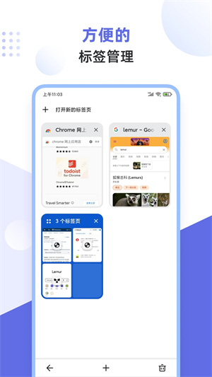 狐猴瀏覽器最新版截圖5