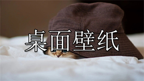 視頻壁紙
