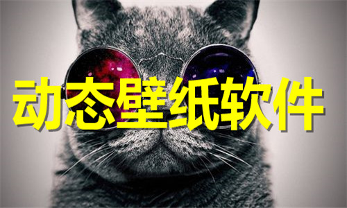 動態(tài)壁紙