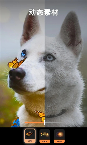 motionleap最新版截圖4