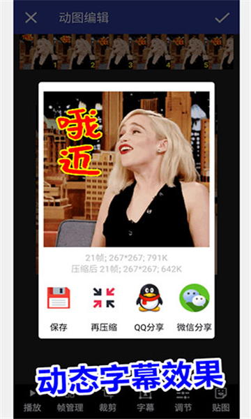 gif動(dòng)圖工廠截圖2