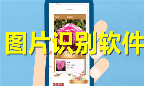 圖片識(shí)別