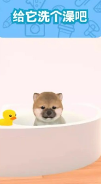 我和狗狗截圖2