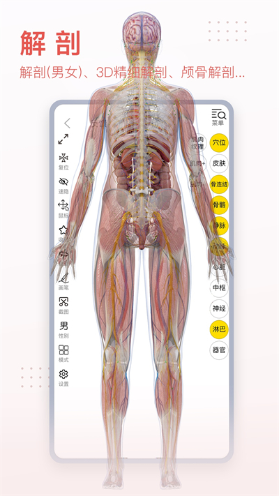 3Dbody解剖app截圖2